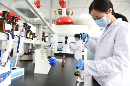 科技管家，政企桥梁——看资阳生产力促进中心如何做好技术信息咨询服务